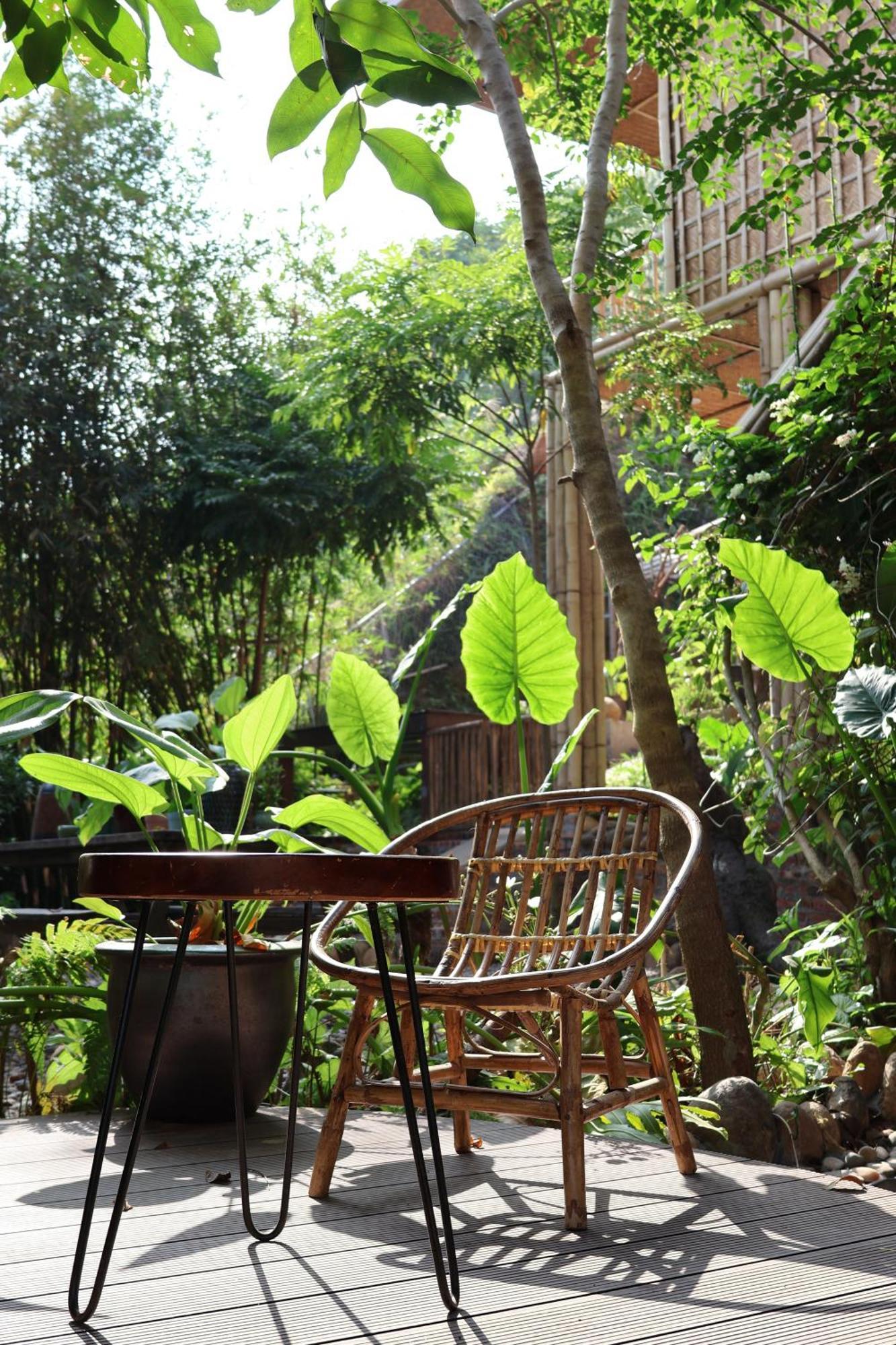 Dinh Gia Trang - Homestay & Coffee The Ruong Exterior photo