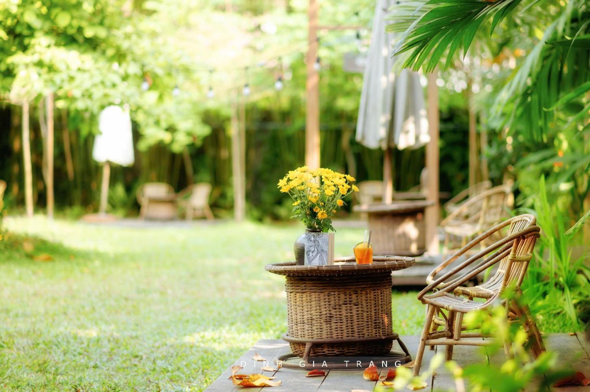 Dinh Gia Trang - Homestay & Coffee The Ruong Exterior photo